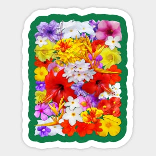 Exotic Flowers Colorful Explosion Sticker